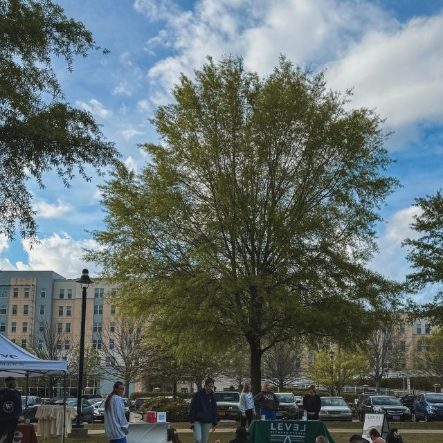 community & connection 🦋

always find your way back to VERVE