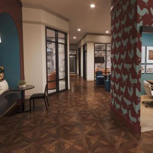 niche study spots in cola 🤫

VERVE resident exclusive