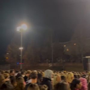 cocks by 90 🐓

caught a flight to watch Nyck Harbor catch TDs